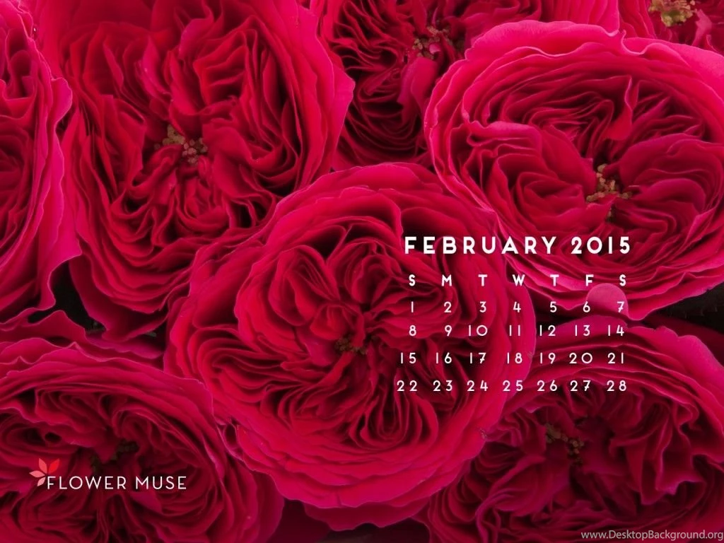 February 2015 Calendar