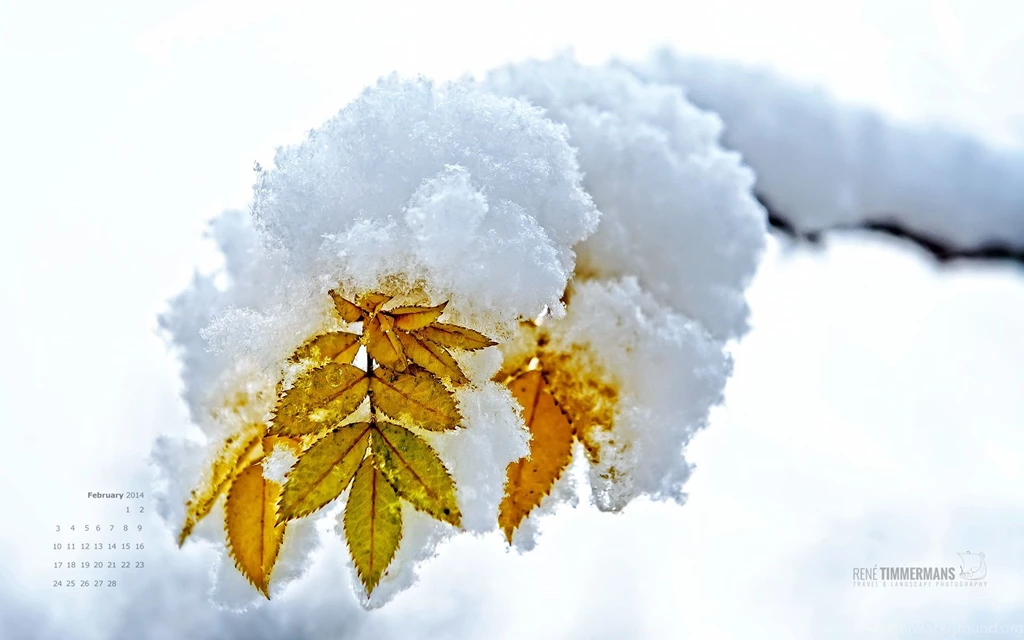 February 2014 Free Desktop Calendar Wallpapers