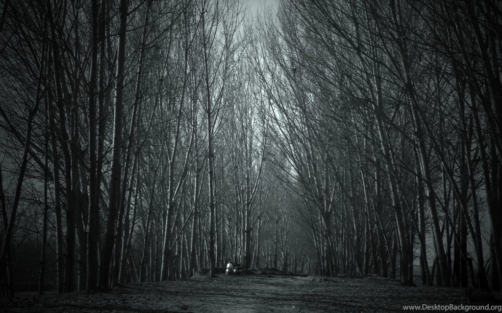 Gallery For   Haunted Forest Wallpapers