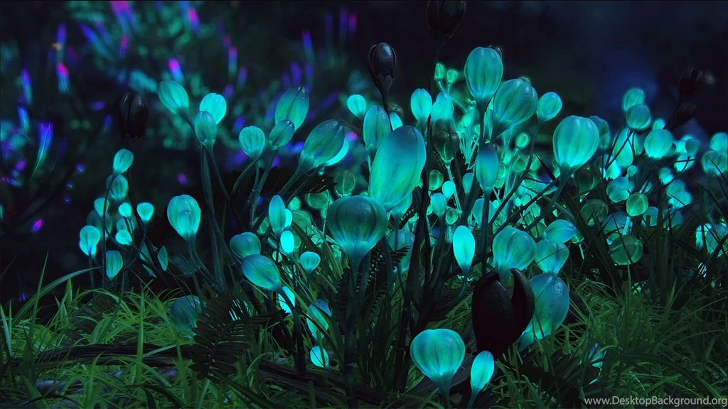 Avatar HD Wallpapers