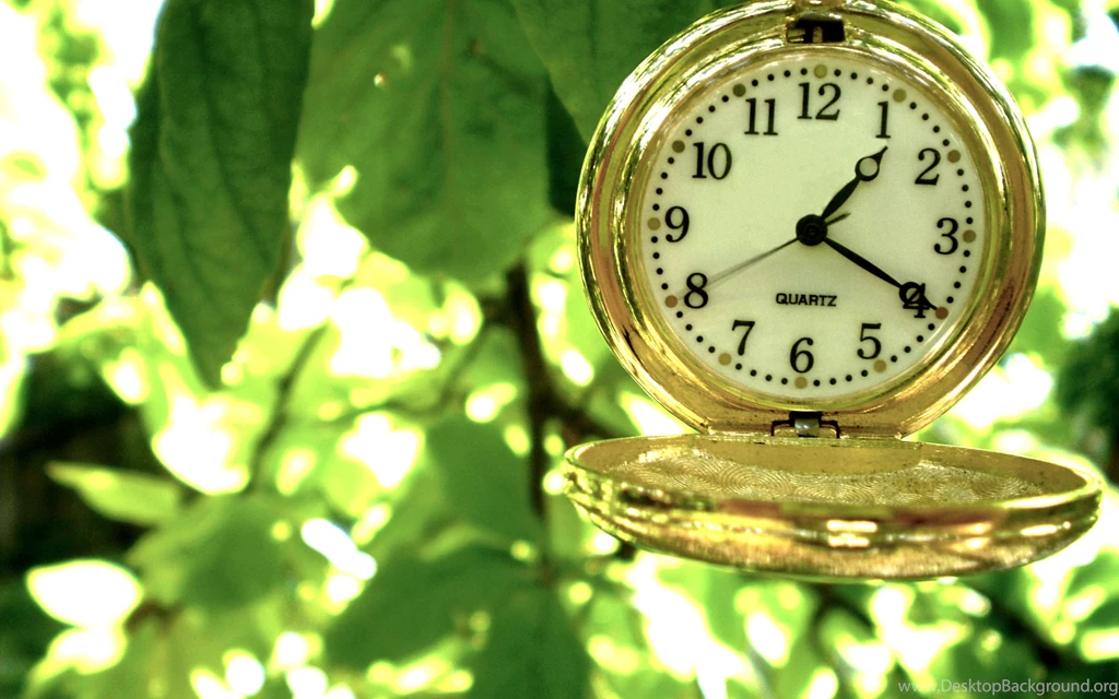 Golden pocket clock hanging in a tree HD wallpaper_5120x3200.jpg