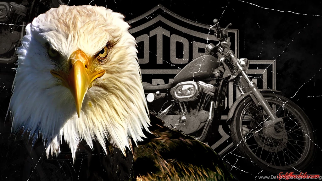 HD Harley Davidson Wallpapers