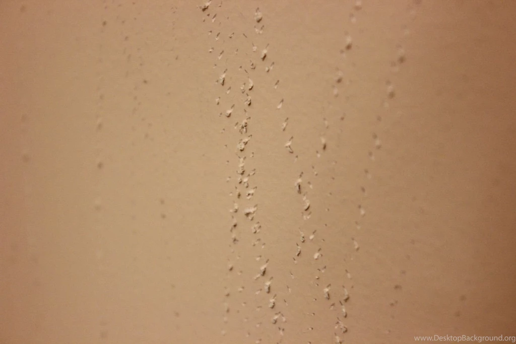 How To Remove Wallpapers Without Chemicals {Even If It's Been Desktop Background