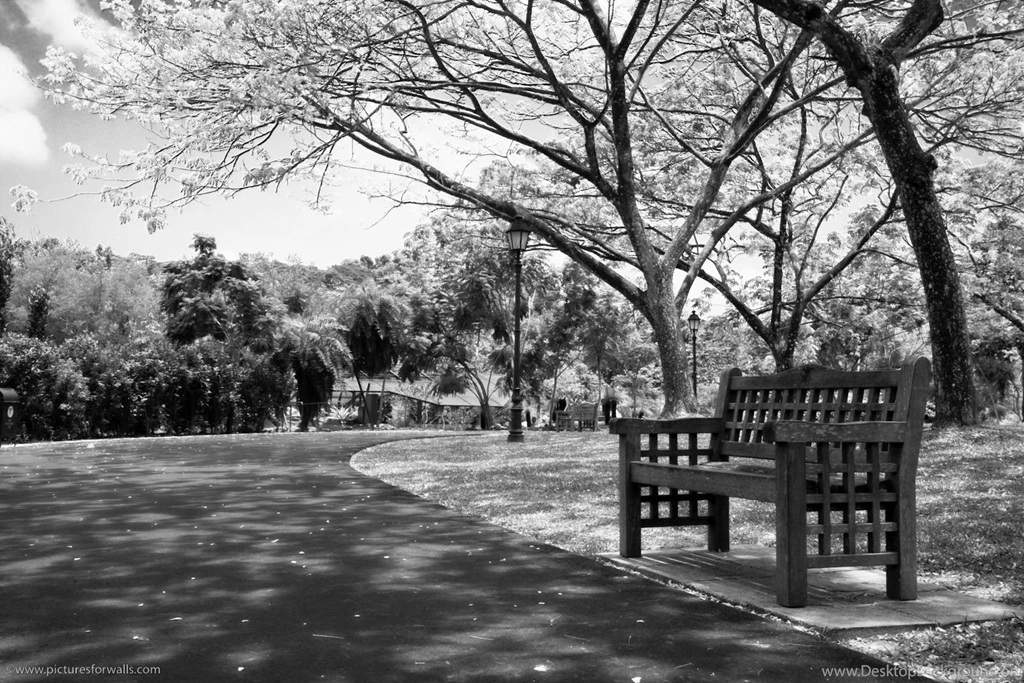 50 Wallpapers And Desktop Backgrounds