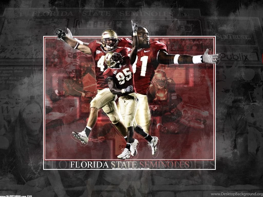Gallery For Cool Fsu Pictures