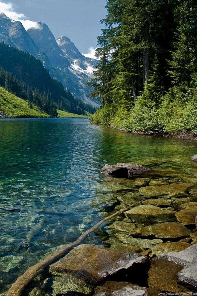 Nature wallpapers for iphone 4.jpg