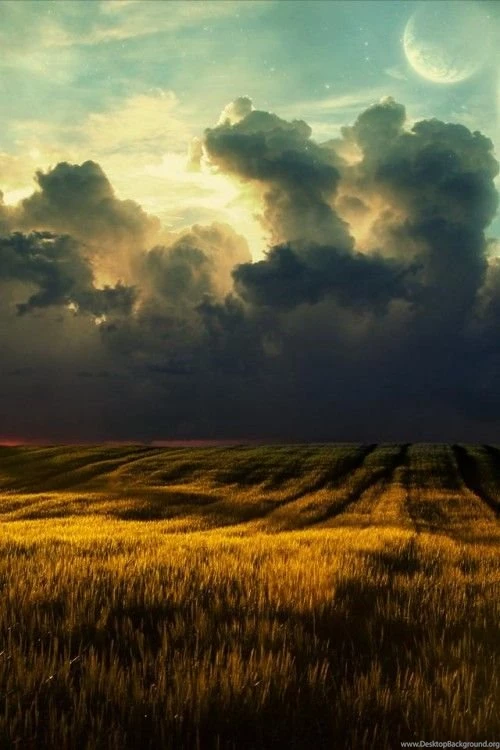Iphone 4 wallpapers hd with nature concept.jpg