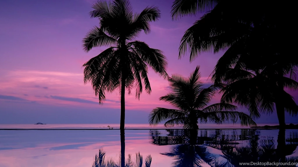 Download Wallpapers 2560x1440 Palm Trees, Night, Silhouettes Mac ...