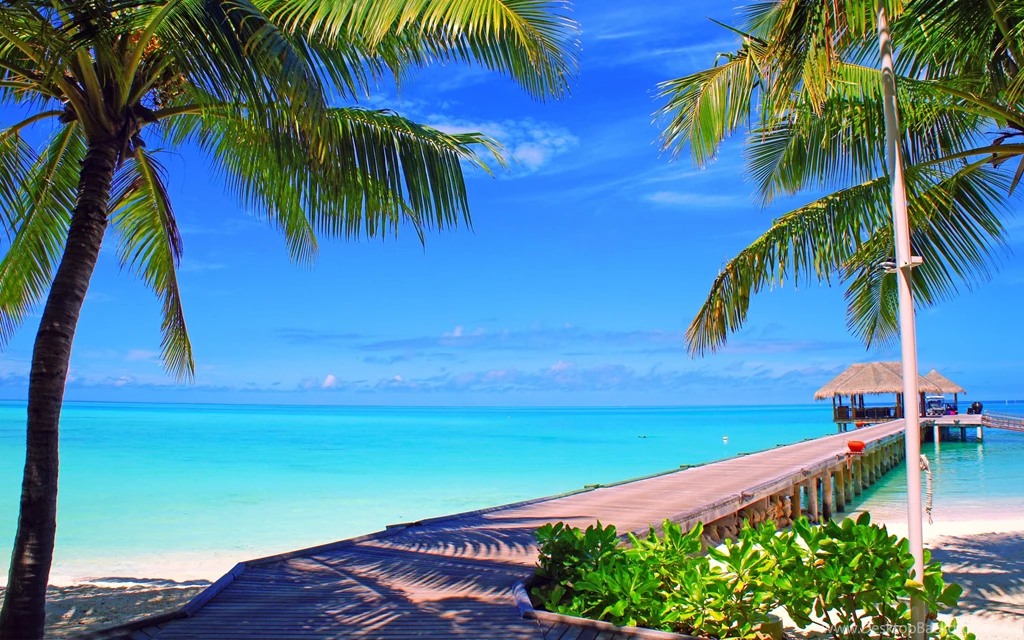 Download Wallpapers 3840x2400 Maldives, Sky, Clouds, Island, Palm ...