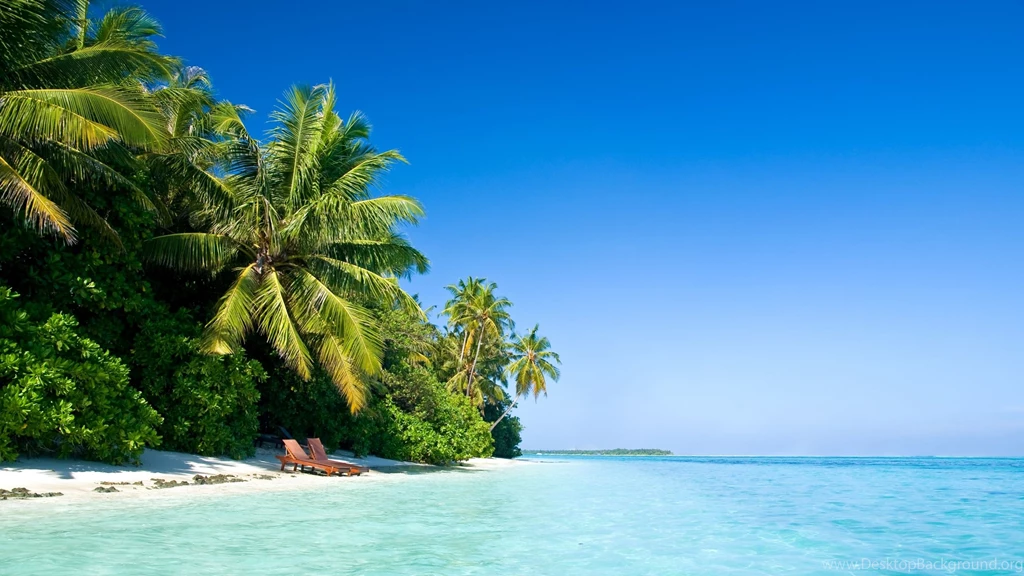 Download Wallpapers 2560x1440 Maldives, Tropical, Beach, Palm Trees ...