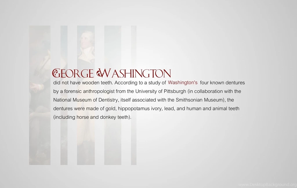 Presidents Of The United States Teeth George Washington