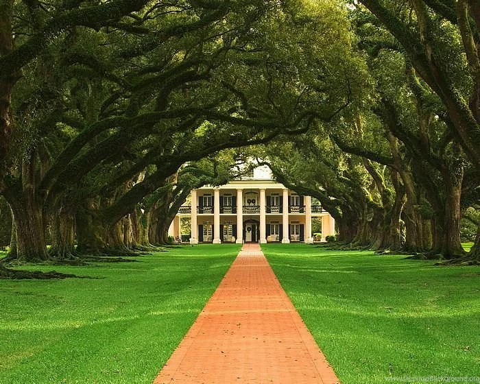 Beautiful Nature Photography Wallpapers 3   Wallcoo.net