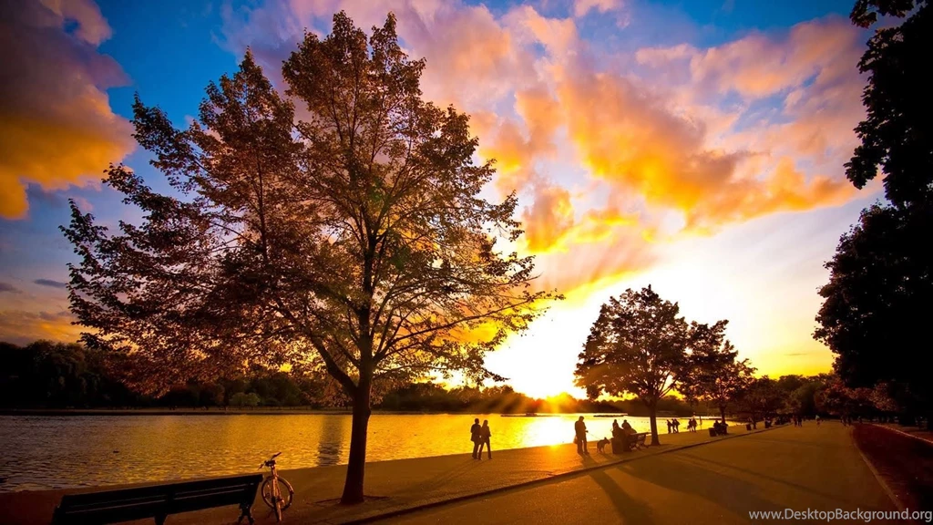 Nature Photography   Best Wallpapers 2014