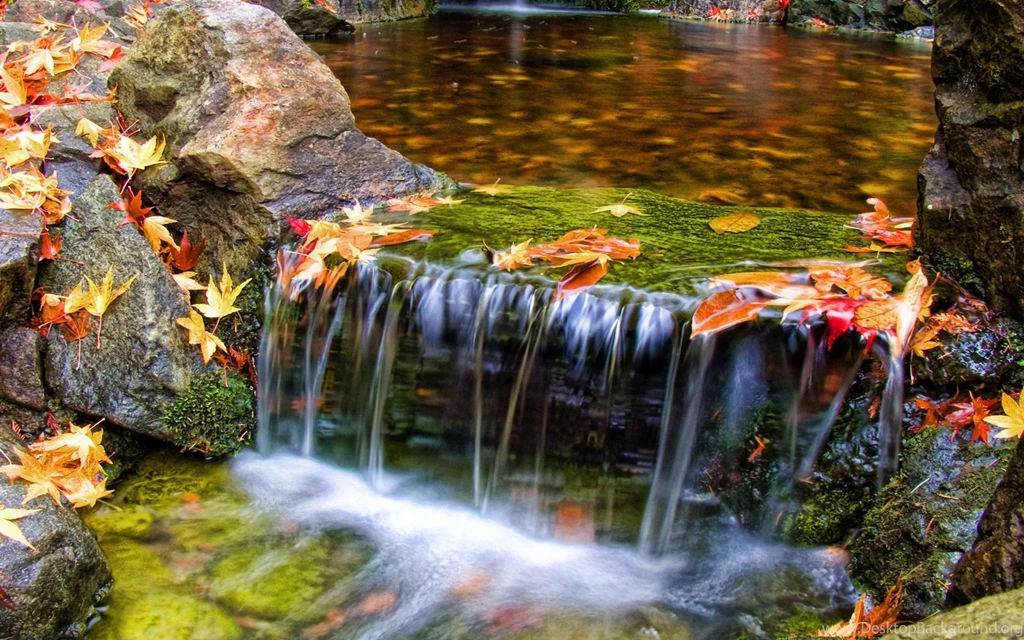 Butchart Gardens Wallpapers 167678