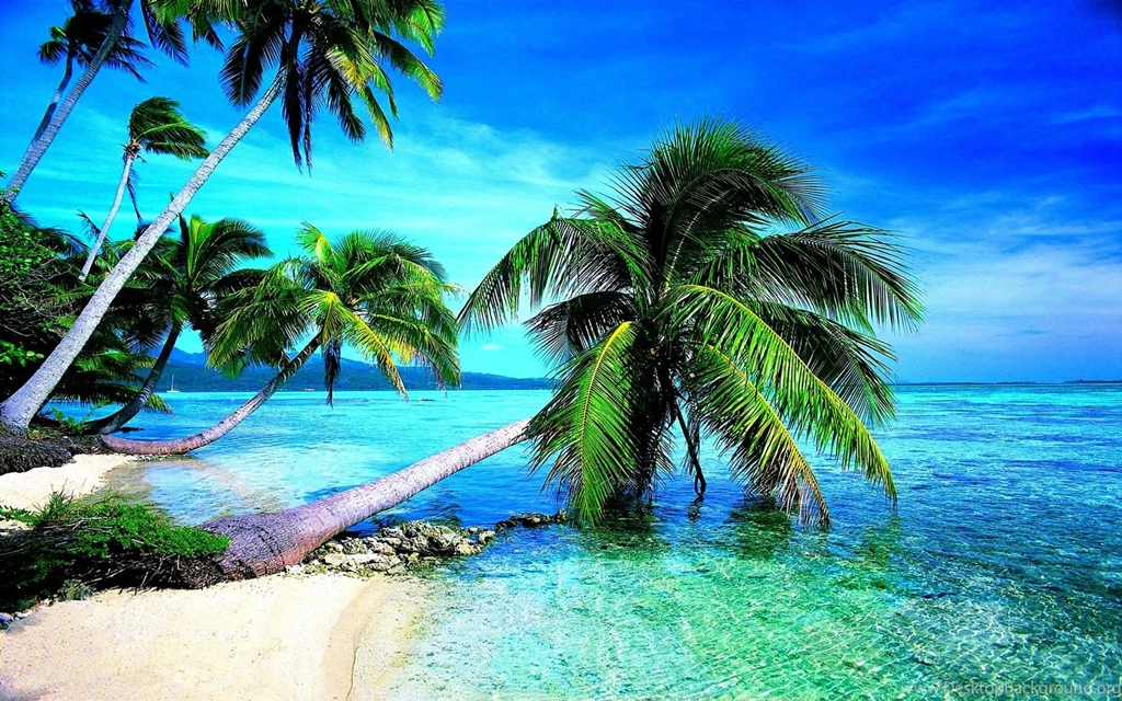 Tropical Beach Wallpapers HD WallpapersHD Wallpapers