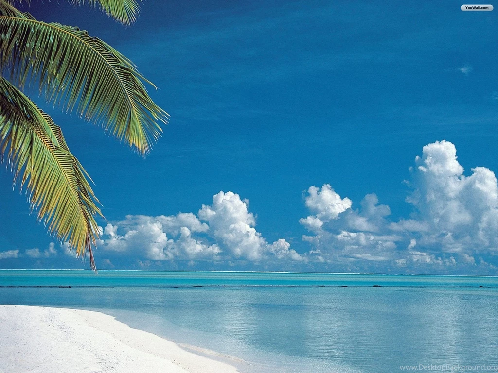YouWall Tropical Beach Cook Islands Wallpapers Wallpapers ...