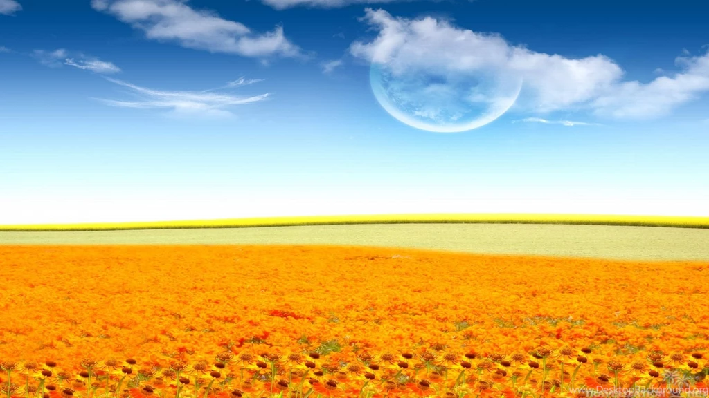 Magical orange flowers HD Wallpapers.jpg