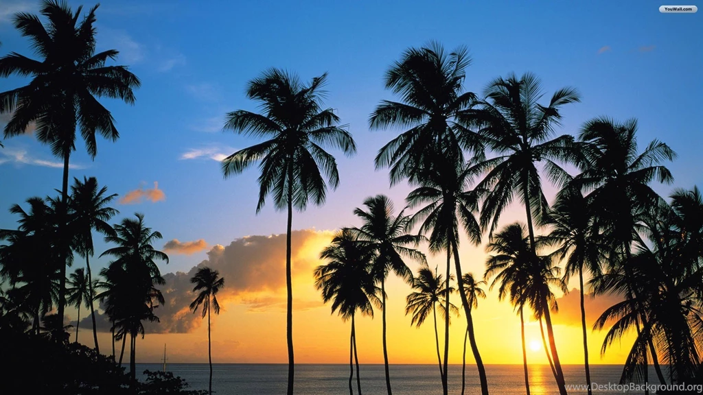 YouWall   Beautiful Tropical Sunset Wallpapers   Wallpapers ...