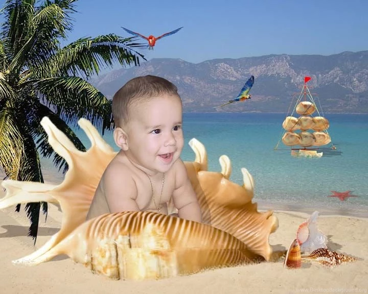 Seashell Unique Backgrounds