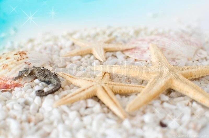 Abstract Summer Backgrounds With Stones, Seashells And Stars ...
