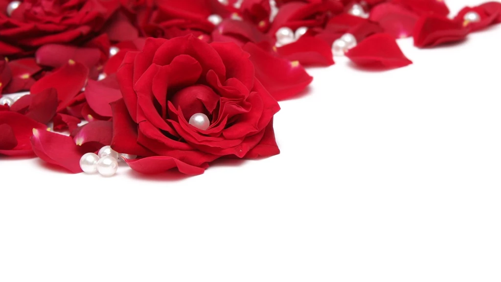 Download Wallpapers 2560x1440 Rose, Beads, Red, White Mac iMac 27 ...