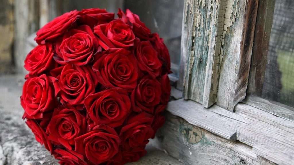 Best Red Rose Backgrounds Wallpapers