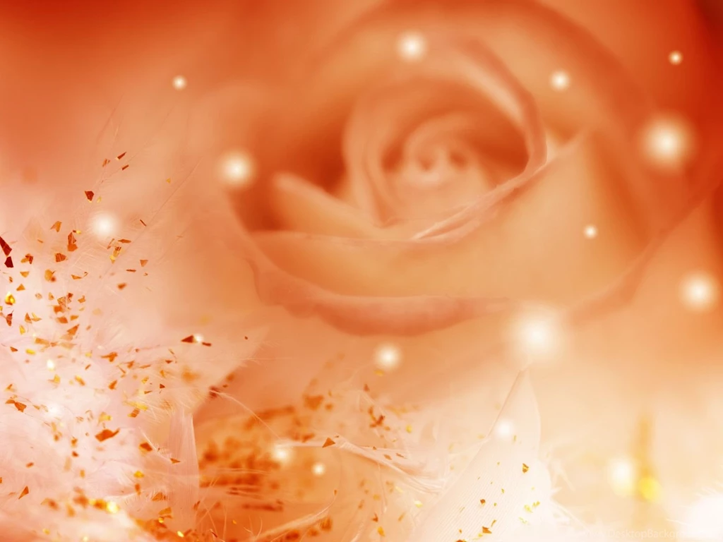 Orange Roses   Flowers Wallpapers (34611341)   Fanpop