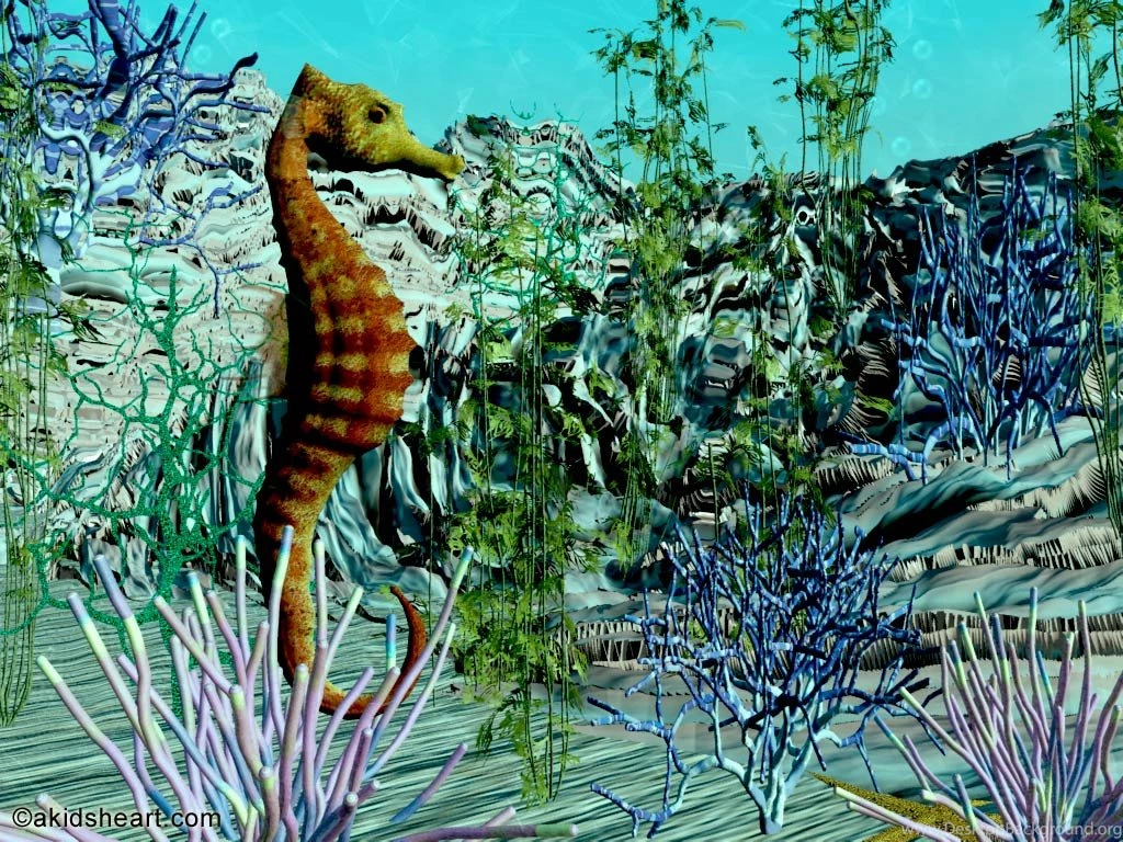 Seahorse Desktop Wallpapers