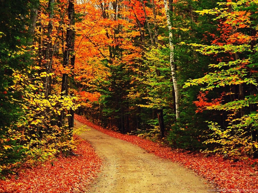 Wallpaper Backgrounds Desktop: Awesome Wallpaper Backgrounds For ...