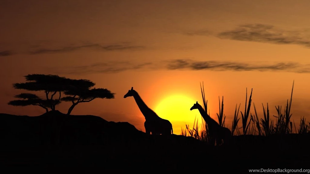 African Safari Wallpapers