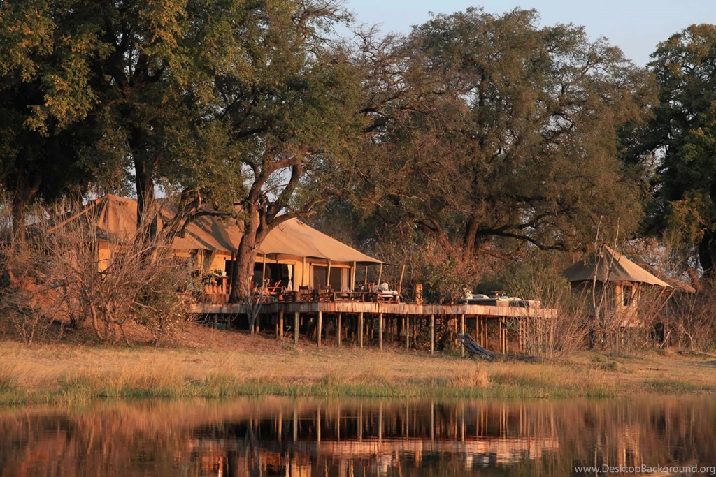 HD Botswana Good Safari Guide Wallpapers   New Post Has Been ...