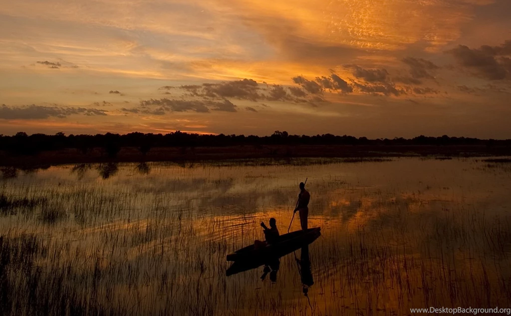 HD Botswana Safari Sunset Wallpapers   New Post Has Been Published ...