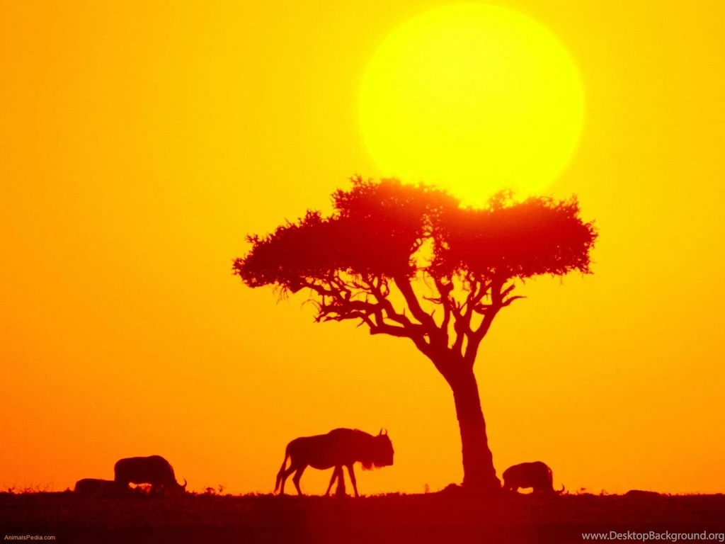 Computer Wallpapers Borders   Computer And IT Latest News