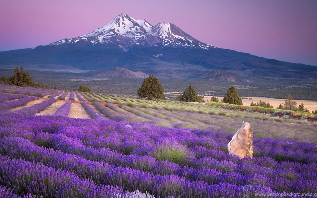 Beautiful Scenery Wallpapers HD Pictures