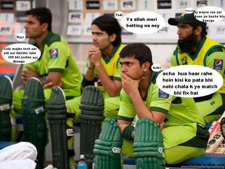 Funny Animal Picture Beautiful Animals: Funny Cricket Wallpapers ...