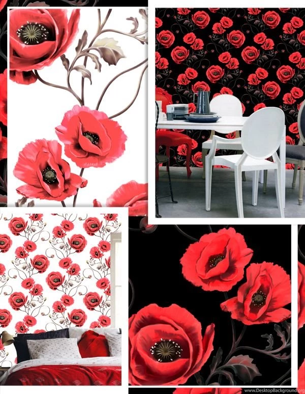 Wallpapers / The Wonder In Us   By Ellie Cashman Design