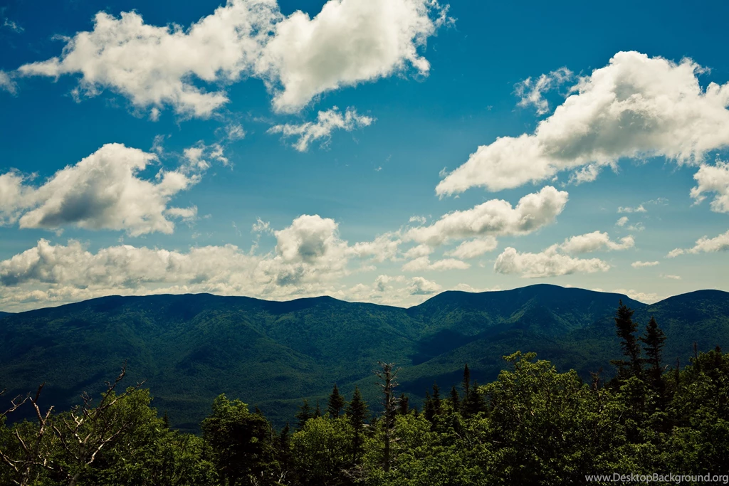 Linux Mint 14 Wallpapers (6)