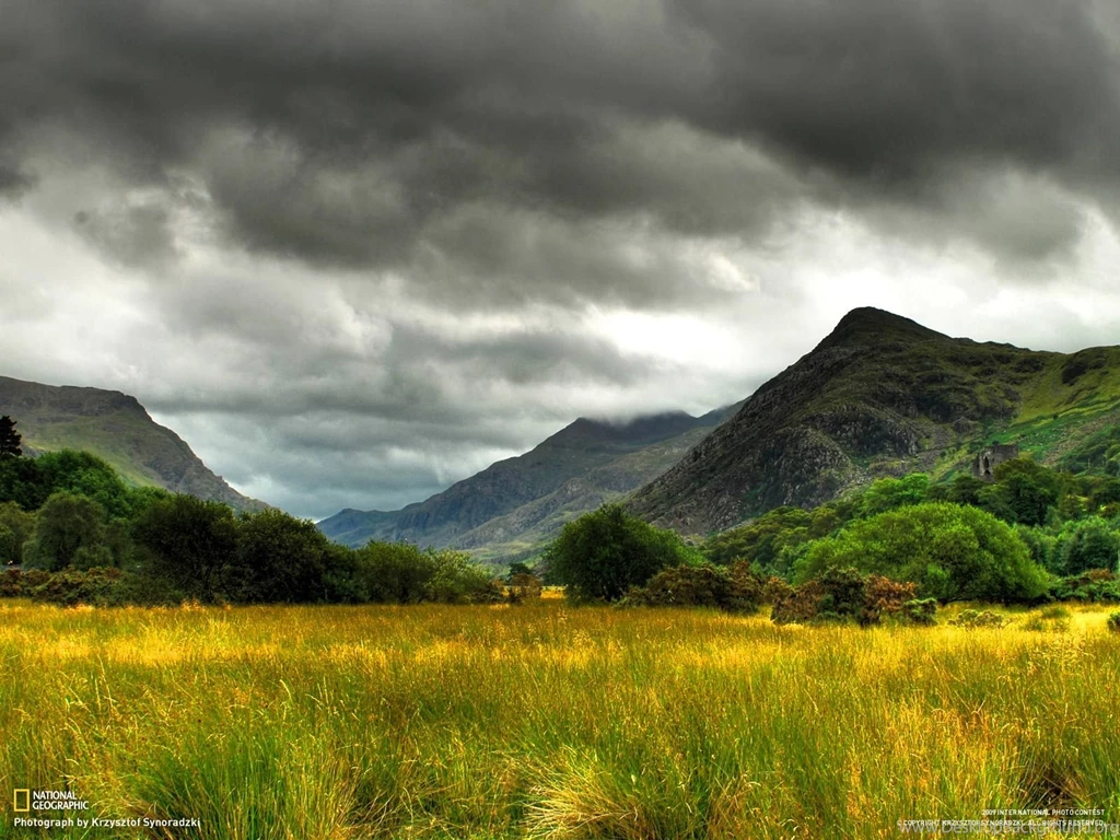 60 National Geographic HD Wallpapers Web Design Blog Web Design Blog