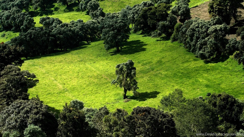 Nature Full HD Wallpapers National Geographic Wallpapers (7822206 ...
