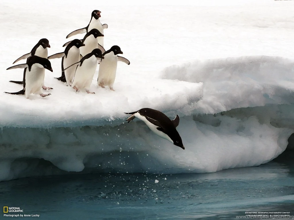 National Geographic HD Wallpapers Set 3 prisak HKRG Photo 28 ...
