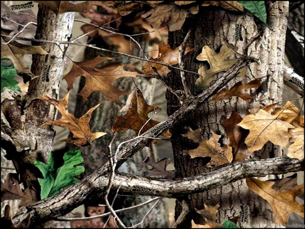 Realtree Camo Wallpapers For Room