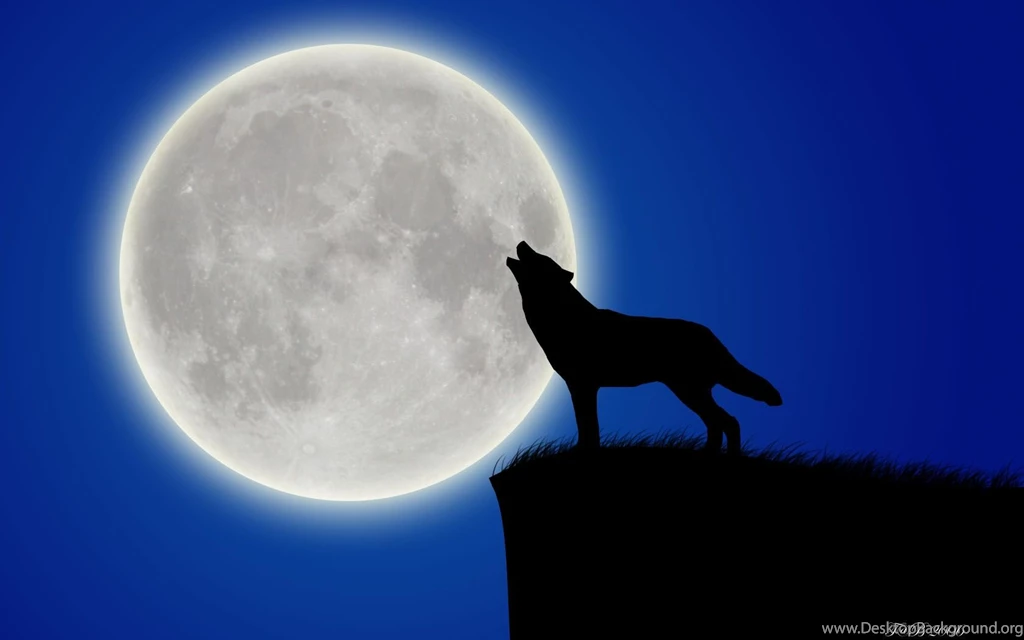 Wolf_and_Moon_by_bjar9.jpg
