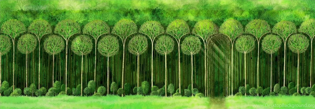 Living Lines Library: The Secret Of Kells (2009) Production ...