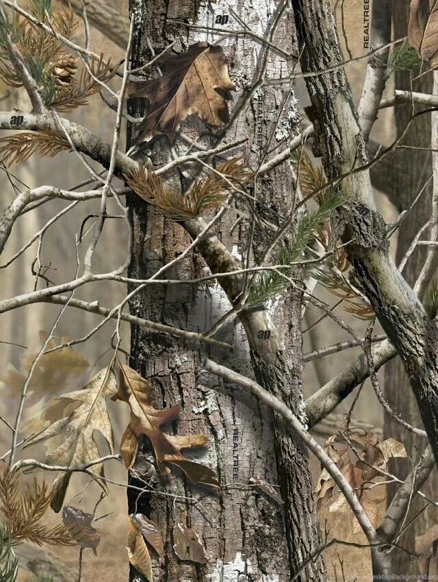 Realtree Wallpapers