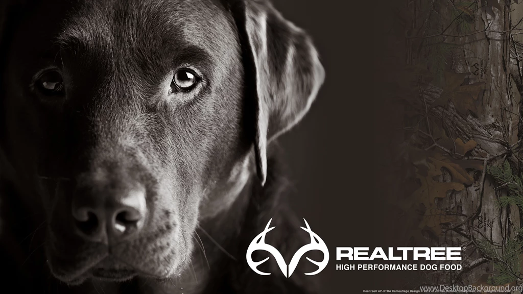 Widescreen Realtree® HIgh Performance Dog Food Wallpapers With Camo ...