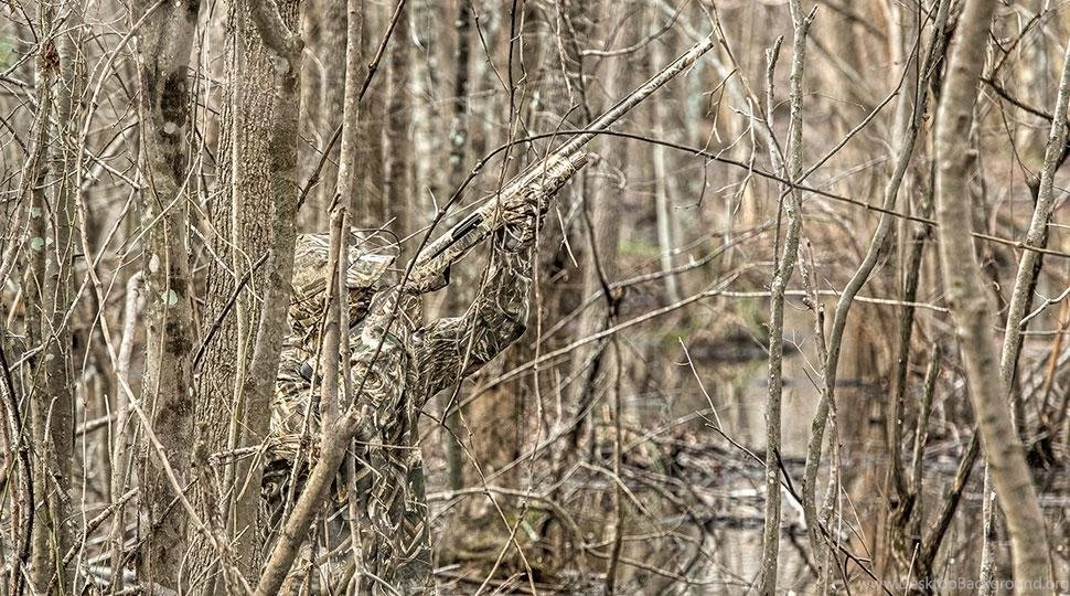 Waterfowl Hunting Blogs