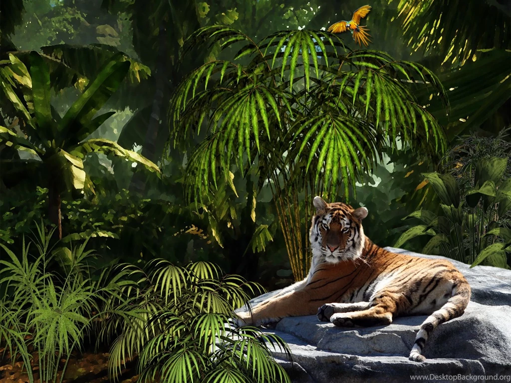 HD Tiger Jungle Wallpapers   New Post Has Been Published On Windows ...