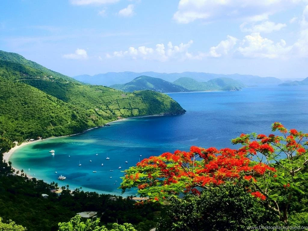 Moon Bay Nature Scene Wallpaper Backgrounds Picture 1024x768 Hd ...
