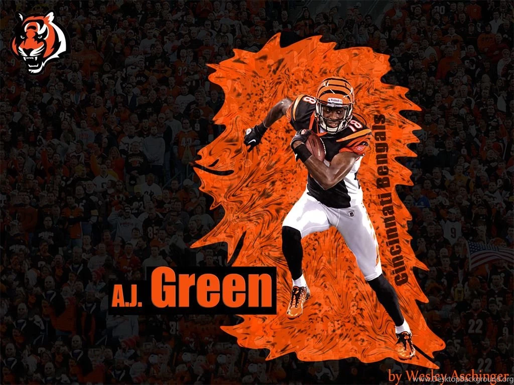 Desktop Wallpapers   Cincinnati Bengals