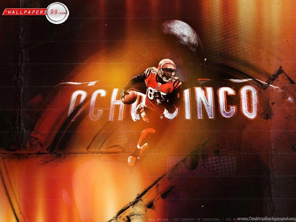 Cincinnati Bengals Wallpapers Picture Image 1024x768 23981